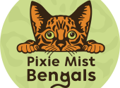 Pixiemist Bengals