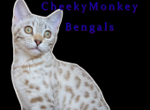 Cheekymonkey 1